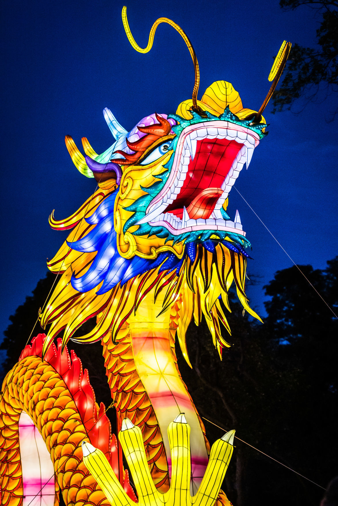 Lantern Festival